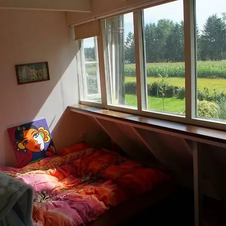Landhuisje Onder De Linden Epe
